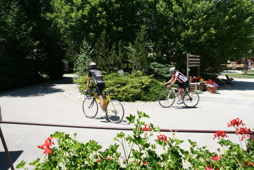Hotel Camping Le Colporteur Le Bourg-dʼOisans Exterior foto